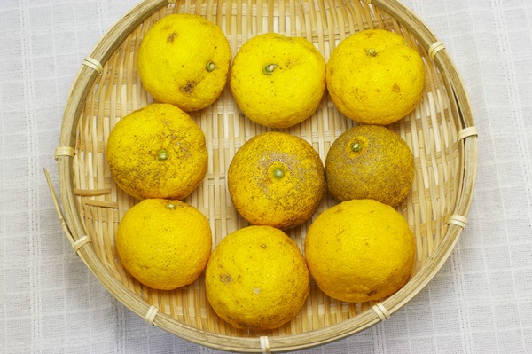 無肥料 自然栽培 柚子 ゆず 1kg 愛媛県 はなきファーム V1000 果物 ハート Netshop