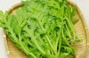 【無肥料・自然栽培】菊菜（春菊）［徳島県：若葉農園］【v400】※11/18(火)発送分