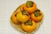 【無肥料・自然栽培】柿1kg（訳あり）［和歌山県：かたやま農園］【v1000】