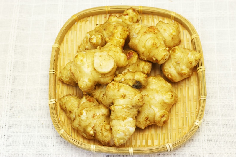 ̵ݡ۵ư 400g²λӸϡv400