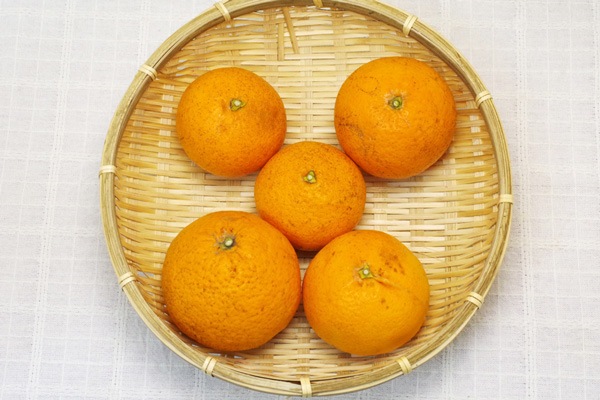 無肥料 自然栽培 清見 きよみ オレンジ1kg 広島県 国広自然栽培農園 V1000 果物 ハート Netshop