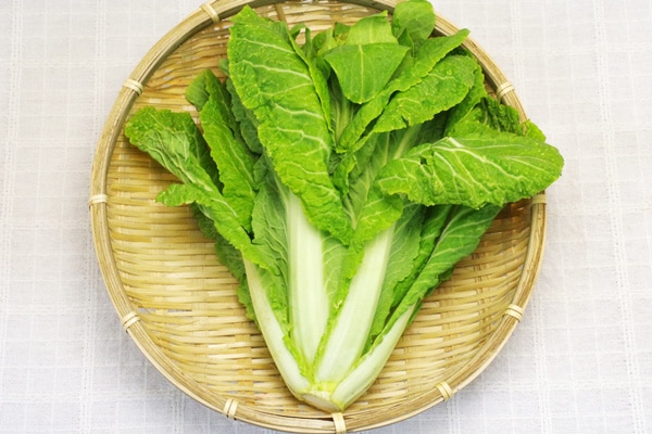 ��̵�������������ݡ���ڤΤȤ�Ω���ڡ�Ļ�踩���������ϡ�v400�ۢ�4/8(��)ȯ��ʬ