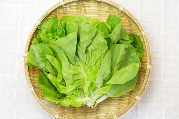 ��̵�������������ݡۥ�����ڡδ��츩���褷������ϡ�v600�ۢ�7/8(��)ȯ��ʬ