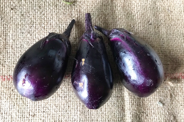 水茄子50個 0915-001-01.jpg?fitin=720:720