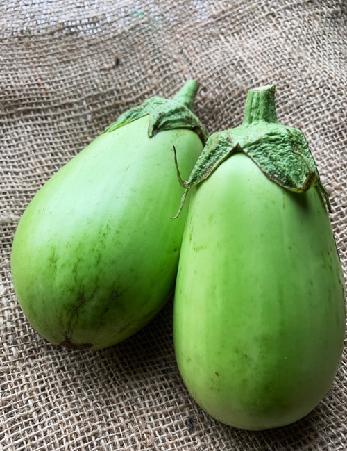 ��̵�������������ݡ���ػҡε����ܡ��������夵��ϡ�v600�ۢ�10/24(��)ȯ��ʬ