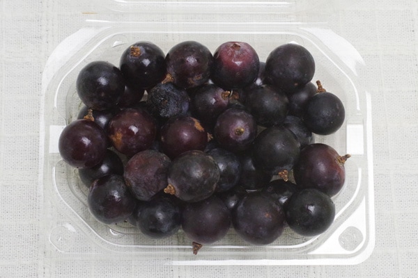 ��̵�������������ݡ���ƺ�ʥ٥꡼A����150g���²λ����������������ϡ�v400�ۢ�8/25(��)����ͽ��