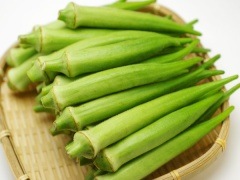 ̵ݡۥ500gεܡ夵ϡv500ۢ8/15()ȯʬ