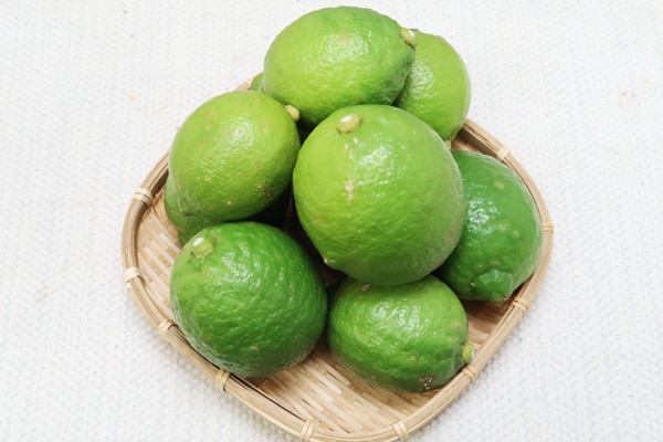 ̵ݡۥ꡼1kg縩ȥĥߥեϡv1000