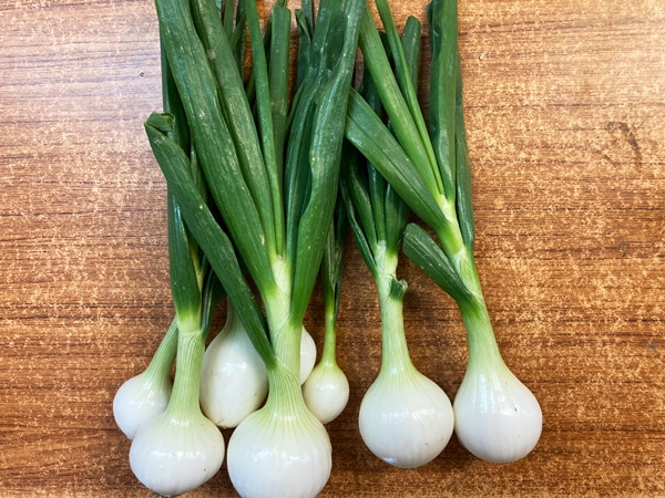 ̵ݡն̤ͤʸӡΤˤϡ1kg縩ϡv1200ۢ4/13ʬ