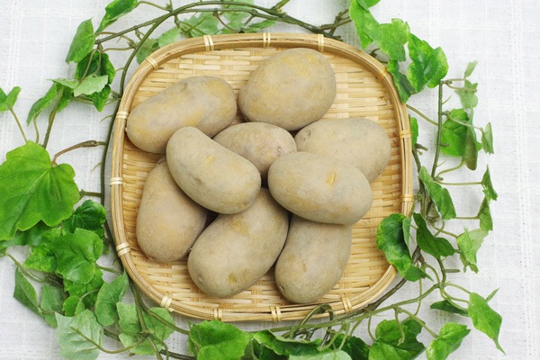 無肥料・自然栽培】じゃがいも（インカのめざめ）600g［徳島県：すばる