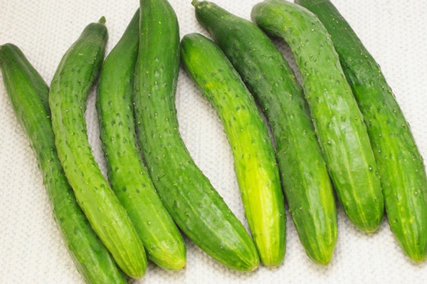 無肥料・自然栽培】きゅうり1kg［京都府：中嶋大輔さん］【v1000】※11