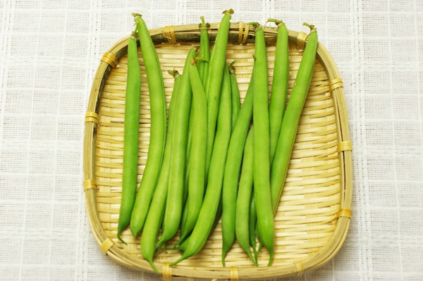 ̵ݡۥ󥲥εܡʿϡv300ۢ11/15()ȯʬ