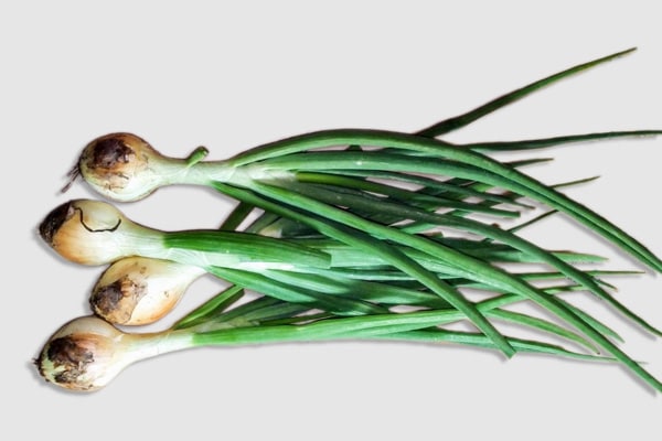 ��̵�������������ݡ��ն̤ͤ� ���²λ��������Ӹ��ϡ�v400��