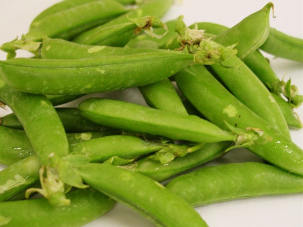 スナップエンドウ　500g 農薬・化学肥料不使用　徳島県産 スナップエンドウ 500g 農薬・化学肥料不使用 徳島県産