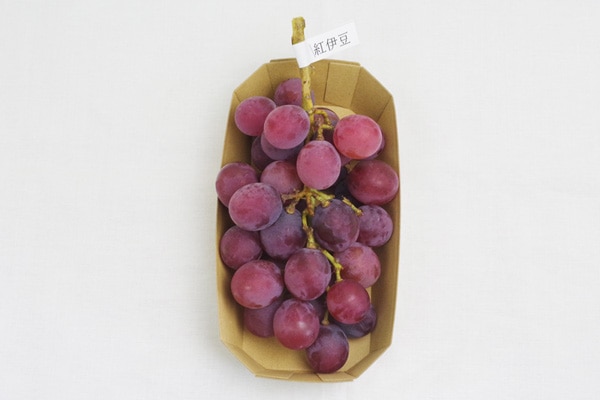 無肥料・自然栽培】葡萄（紅伊豆）約450g［京都府：HANDOVER FARM