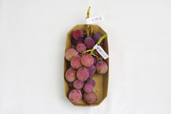 無肥料・自然栽培】葡萄（北崎レッド・紅伊豆のミックス）約450g［京都