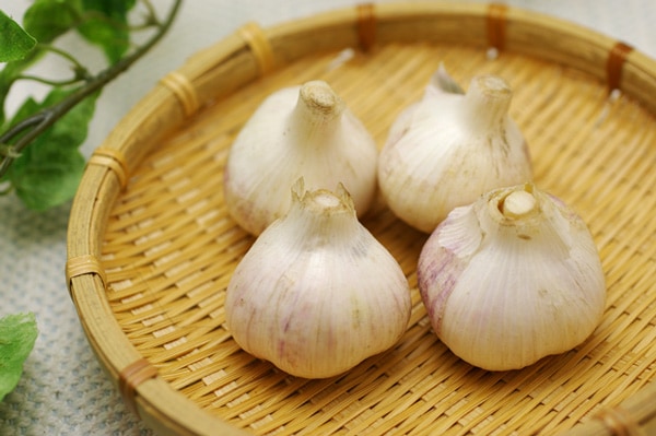 無肥料・自然栽培ニンニク 約90g 京都府産 - 無農薬・無肥料の野菜を