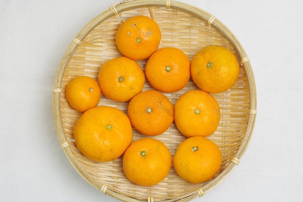 無肥料 自然栽培 温州ミカン1kg 甘みの中に酸味もある濃厚なみかん 熊本県 宗自然農園 V1000 果物 ハート Netshop