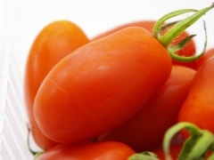 ��̵�������������ݡۥߥ˥ȥޥȡʥ������ˡ�Ĺ������إʥ�����ե����व��ϡ�v400��