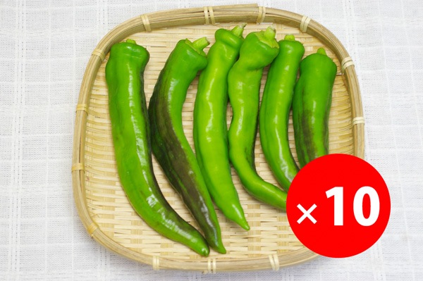 ��̵�������������ݡ�������Ȥ����餷��120g��10�ޡε����ܡ��������夵��ϡ�v4000��