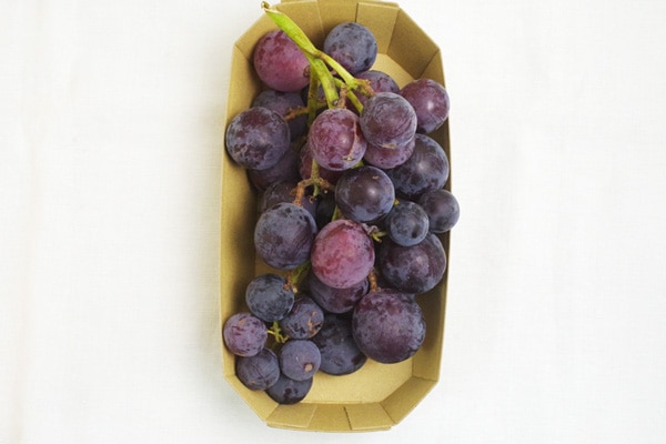 葡萄 無肥料・自然栽培】葡萄（伊豆錦）約450g［京都府：HANDOVER FARM