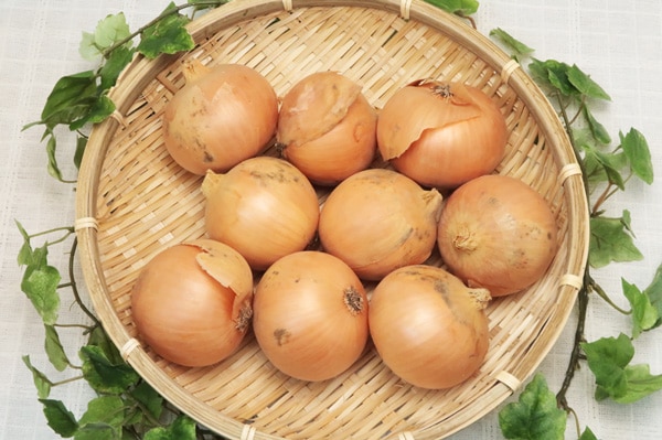 ��̵�������������ݡ۶̤ͤ�1kg���̳�ƻ���������व��ϡ�v1000��