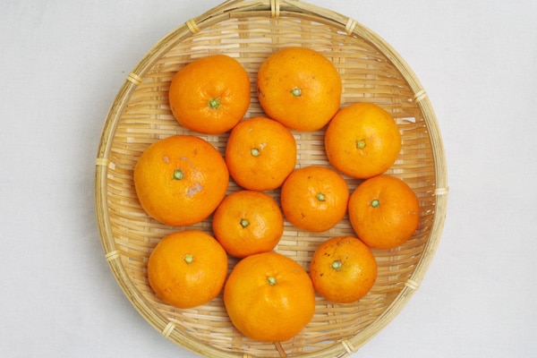 無肥料・自然栽培】温州ミカン1kg 知る人ぞ知る大坊みかん
