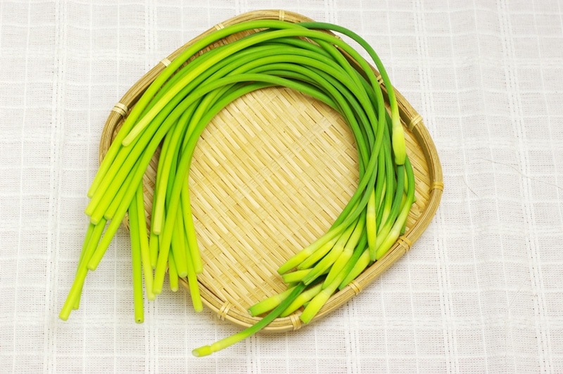 ��̵�������������ݡۥ˥�˥��β�ε����ܡ��ݥȥ�ե�����ϡ�v400�ۢ�5/10(��)ȯ��ʬ