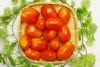 【無肥料・自然栽培】サンマルツァーノトマト約500g　加熱により旨みが増すトマトソースに最適［京都府：中嶋大輔さん］【v600】※8/1(金)発送分