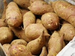 ��̵����̵�������ݡۥ��ĥޥ���ʹȾ�Į��800g