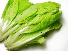 ��̵����̵�������ݡ۶���ڡ������ԡ���ƣ��δ�����