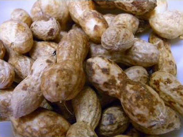 無肥料・自然栽培】生落花生500g - 無農薬・無肥料の野菜を宅配