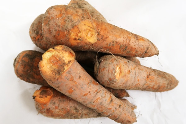 ̵ݡۥ˥󥸥1kgˡ̳ƻƣ