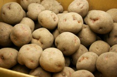 無肥料 自然栽培 ジャガイモ 花標津 はなしべつ 10kg 生産者 折笠農園 野菜 ハート Netshop