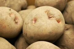 ̵ݡۥ㥬ʲɸšΤϤʤ٤ġϡ1kgԡ޳