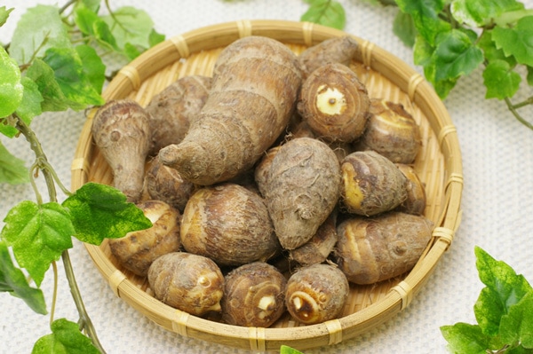 無農薬無肥料栽培 海老芋500g 京都府産 - 無農薬・無肥料の野菜を宅配