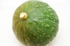 【無肥料・自然栽培】えびす南瓜［北海道：秋場農園］【v3000】|野菜