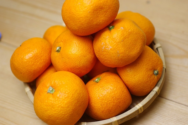 ��̵�������������ݡ�¢�Ф��ߥ���1kg���²λ����������Ƿ����ϡ�v1000��