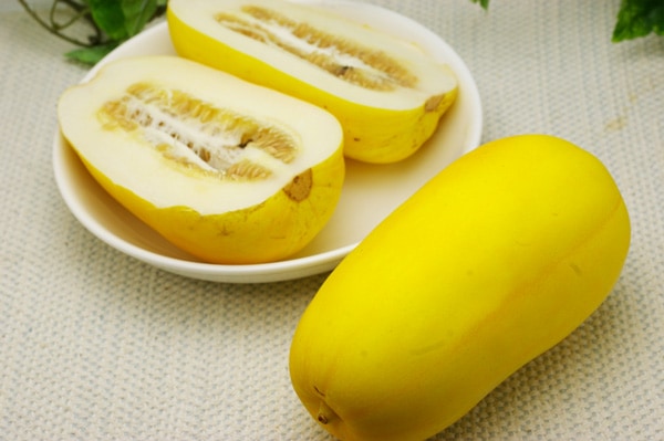 ��̵�������������ݡۥޥ��ﱻ�η��ܸ������Ĥ褷����ϡ�v500��