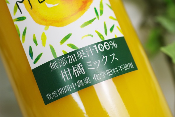 ͭݡ۴̥ߥå塼1000ml ʿɲաϤߤ֥ɤ̣襤v1000