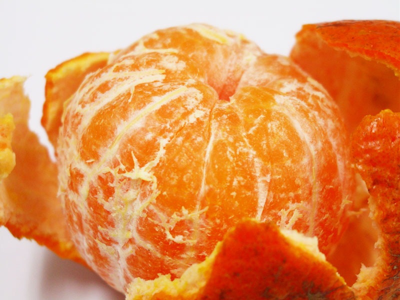 ��̵����̵�������ݡۤ��󤫤�5kg���ߥ���β��͡�v5000��