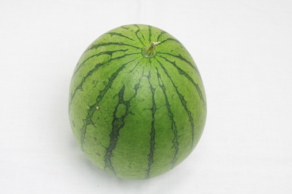 aki88　スイカ　小玉すいか　10kg　自然栽培　無農薬 無肥料・自然栽培 小玉西瓜 熊本県産 約1kg - 無農薬・無肥料の野菜を