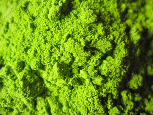 ̵ݡۥѥ˭٤ʥ򤪼㴶Фǡΰθϡv100