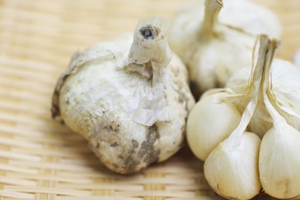 ��̵�������������ݡۥ˥�˥�100g��Ĺ��������󥯥�����ϡ�v200��