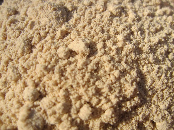 ̵ݡ۶礦ʴ20gΰθϡv100