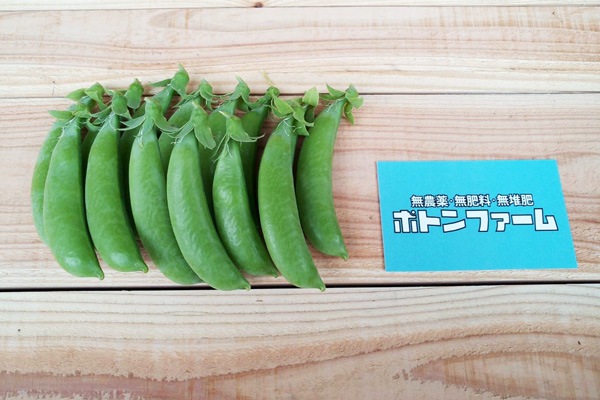 ��̵�������������ݡۥ��ʥåפ���ɤ��ε����ܡ��ݥȥ�ե�����ϡ�v400�ۢ�6/13(��)ȯ��ʬ