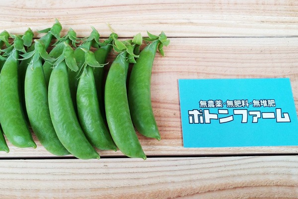 ��̵�������������ݡۥ��ʥåפ���ɤ��ε����ܡ��ݥȥ�ե�����ϡ�v400�ۢ�6/13(��)ȯ��ʬ