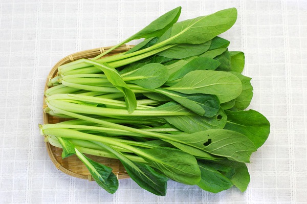 ��̵�������������ݡ۾����� ��Ĺ����Ȥ䤶������ϡ�v400��