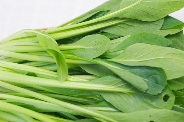 ��̵�������������ݡ۾����� ��Ĺ����Ȥ䤶������ϡ�v400��