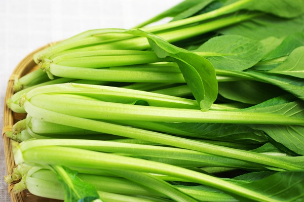 ��̵�������������ݡ۾����� ��Ĺ����Ȥ䤶������ϡ�v400��